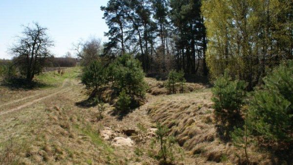 Pozostałości okopów. Zdbice - kwiecień 2010