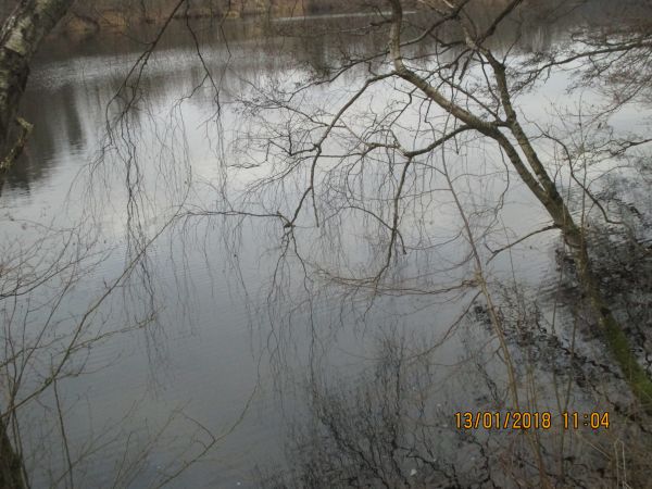 nic nowego tej "zimy"