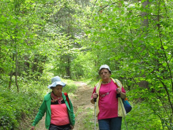 zdrowia - pełne płuca, kondycja - też niezła a ziół - torba pełna  /a chemii - tam nie znają!/, zaś warunki klimatyczne i topograficzne sprzyjają występowaniu w