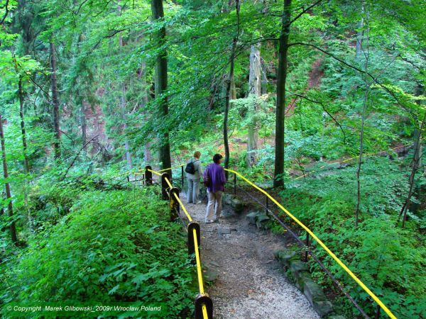 Wodospad Wilczki w Międzygórzu