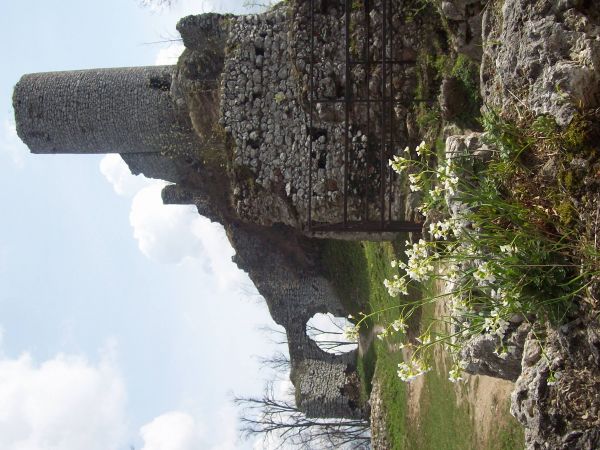 Ruiny gotyckiego zamku Pileckich z XIV w. Zamek został zniszczony w XVII w. przez Szwedów. Współcześnie zachowały się mury obronne zamków dolnych z dwiema brama