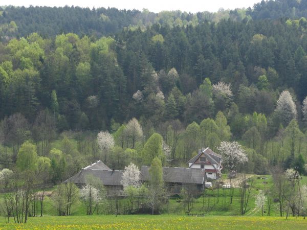 We wsi duża owczarnia - niegdyś wzorcowa, jako przykład w minionej epoce służąca, fachowcy z Podhala sprowadzeni - w pięknym zakątku, przy czystych wodach a pow