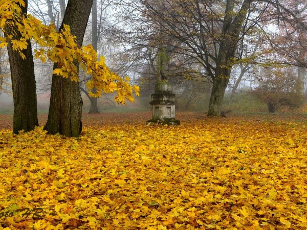 Posąg szlachcica w parku Muzrum Tradycji Szlacheckiej w Waplewie Wielkim.