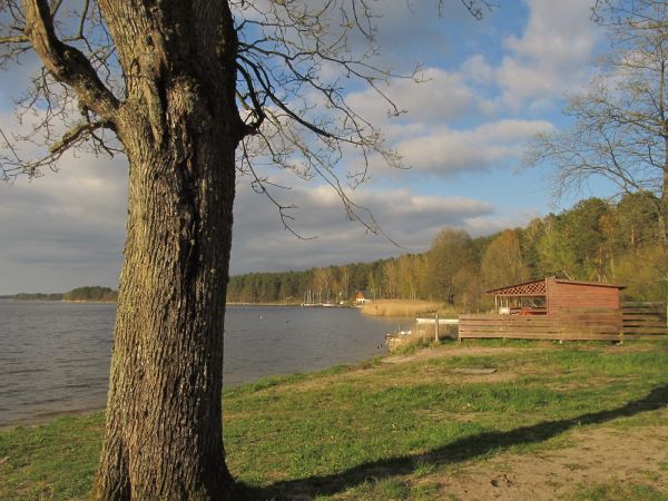 Idąc brzegiem jeziora Wdzydzkiego w Borsku - Jeziornie