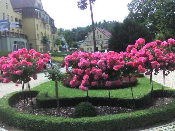 zdjecie Kudowa-Zdrój