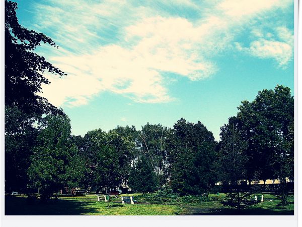 Sulechów -park