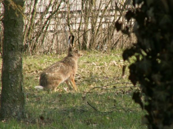 Hura, poszli, przeżyłem.