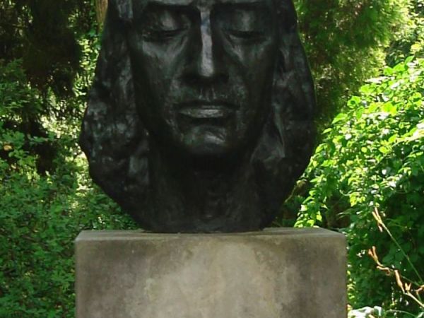 zdjecie Żelazowa Wola