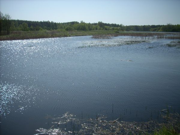 zdjecie Piłatowszczyzna