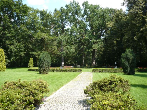 Park dookoła pałacu,pięknie zadbany.