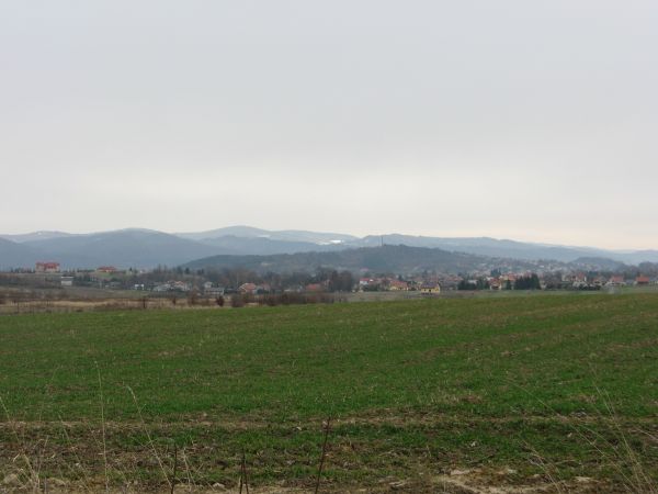 panorama na g. Koziagórka - 364m npm, zwana w przeszłości Łysą Górą,  Góry Słonne - Pasmo Sanocko-Turczańskie, po prawej: Glinice - 393m npm.