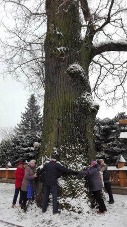 przy kościele dąb - potężny, pomnik przyrody - oznaczony.