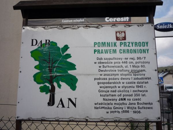 Tablica infirmacyjna obok Dębu Jan.