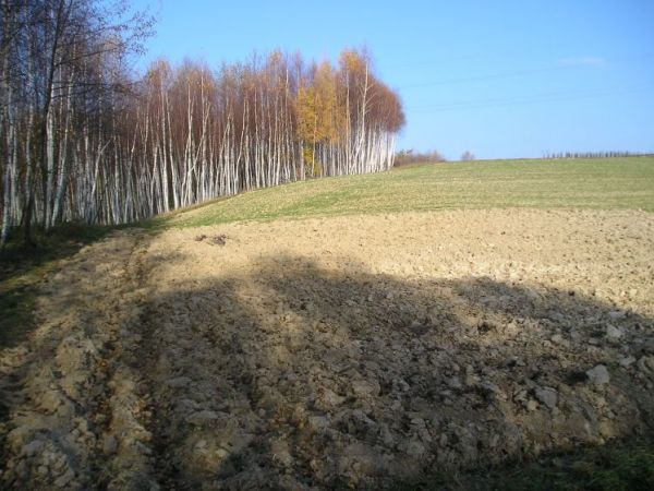 Zdjęcia Łęki Dolne