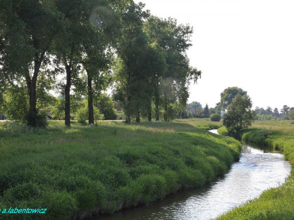 RZEKA  SKORA  WYPŁYWA  Z  GÓR  KACZAWSKICH,  PŁYNIE  PRZEZ  POGÓRZE  KACZAWSKIE I  RÓWNINĘ  LEGNICKĄ