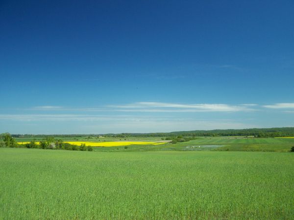 Czerwcowe pejzaże...