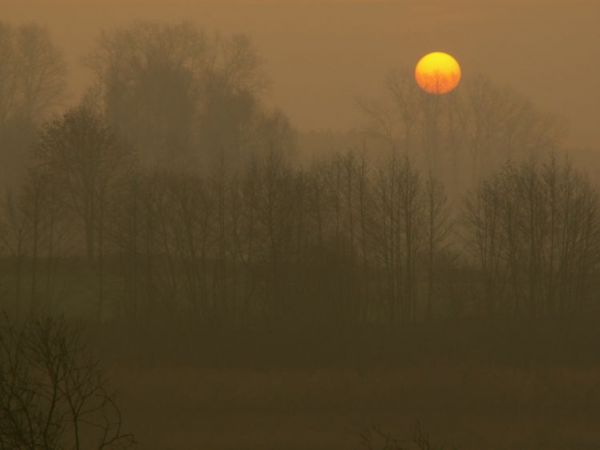 JESIENNY PORANEK NAD PIASECZNEM