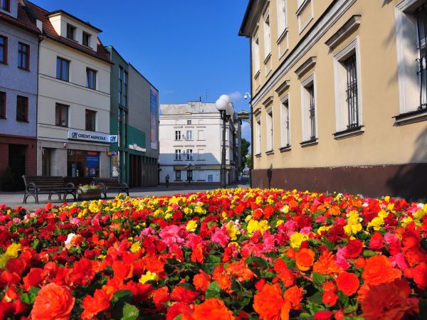 zdjecie Wodzisław Śląski