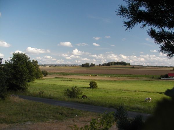 Wczesnym popołudniem...