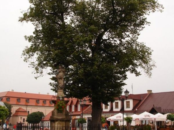 zdjecie Niepołomice