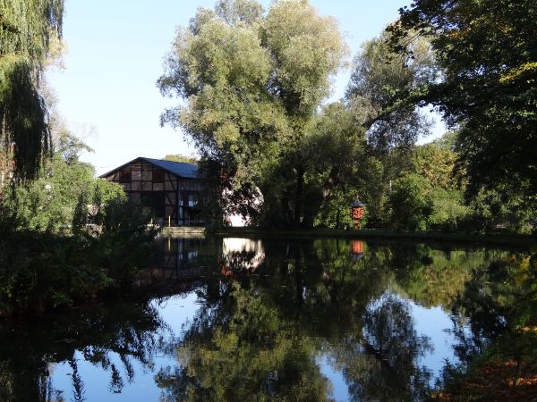 Widok z Parku Oliwskiego