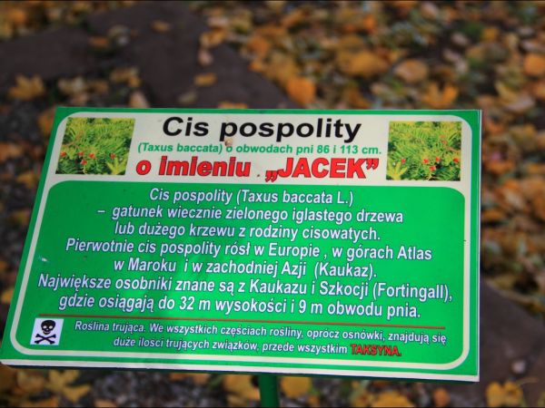 Klasztor i park  ss. Niepokalanek na Głębokiej.