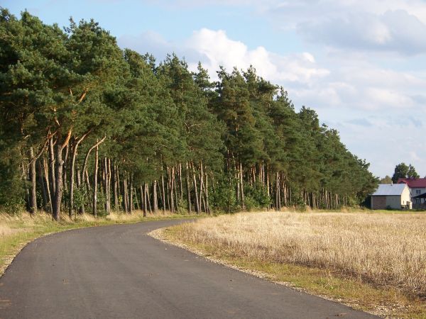 zdjecie Ługi-Radły