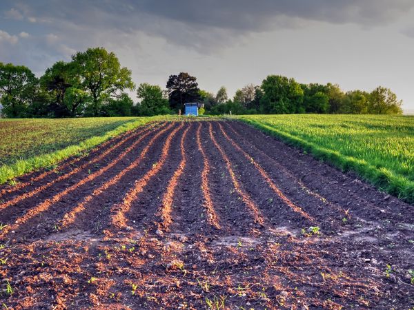 zdjecie Wodzisław Śląski