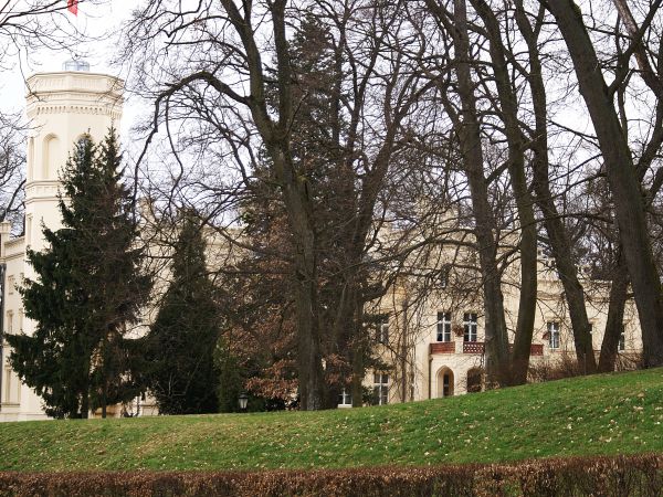 Pałac Mierzęcin