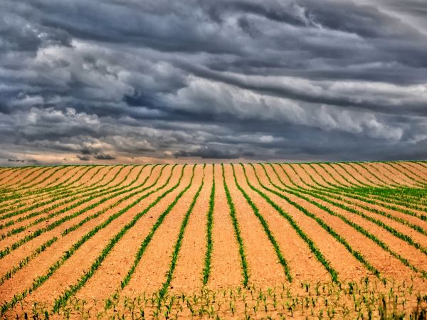 zdjecie Wodzisław Śląski