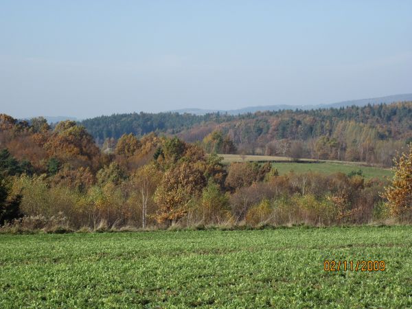Złota polska jesień w krajobrazie