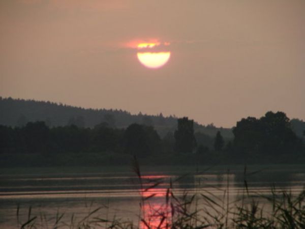 zdjecie Widryny