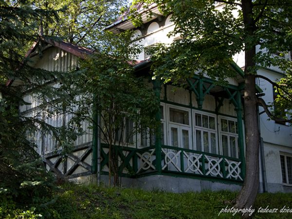 Biało-zielony.