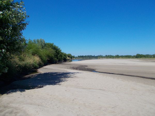 "SI AD NATURAM  VIVES, NUMQUAM ERIS  PAUPER" - - Seneka Młodszy. Sentymentalne wspomnienia z lipca .