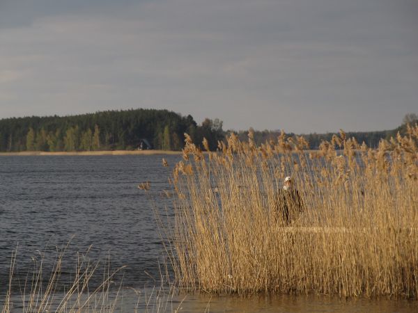 Na brzegu jeziora Wdzydze przy OW Jasnochówka