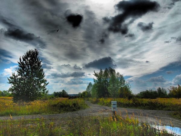 Na rozstaju dróg za miastem