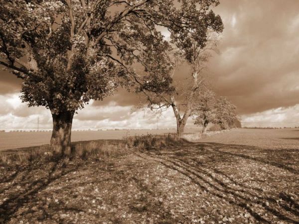 Jesienna szarość w Wieszynie 1