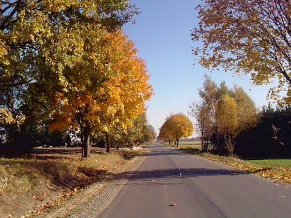 zdjecie Miękisz Stary