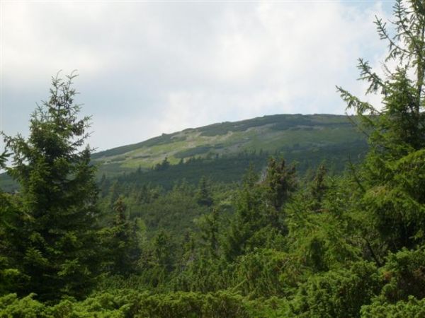 Widok na Babią Górę z Kiczor