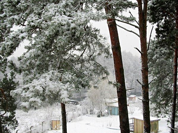 Zimowa sceneria terenu przy ulicy Mickiewicza, nad rzeką Wdą, oraz przy budynku Urzędu Miejskiego.