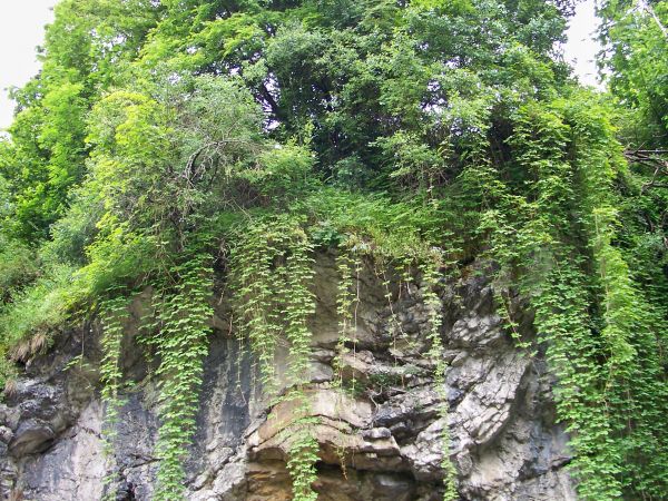 zdjecie Szczawnica