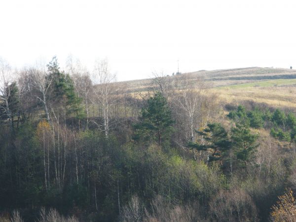 widoczna droga na szczyt góry z krzyżem - tam niegdyś monastyr prawosławny oo. bazylianów - przez "Czerniec", no ale ordy tatarskie - ostatni z 1675r. - mnichów