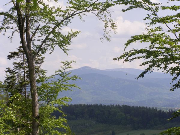 Mielnik. Widok z wieży Czarna Góra i Śnieżnik