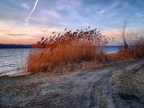 zdjecie Dąbrowa Górnicza