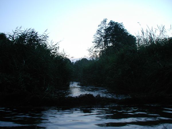 Wygiełdów, zmierzch nad Prosną...