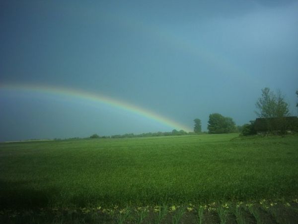 Piękne krajobrazy wiosną