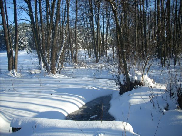 zdjecie Piłatowszczyzna