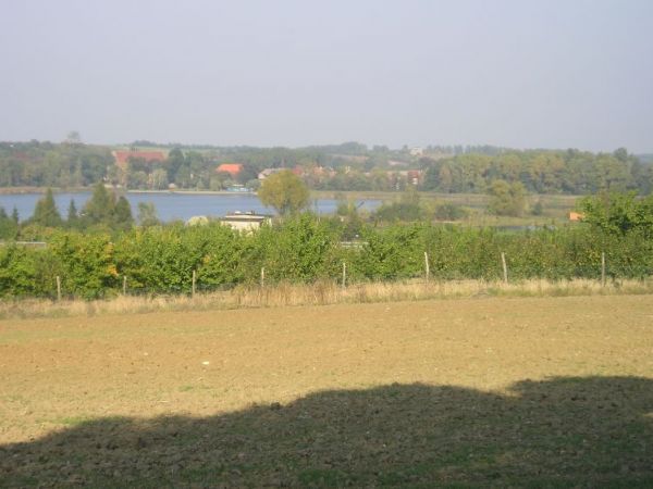 Widok na Dolsk i jezioro od strony kościoła św. Wawrzyńca