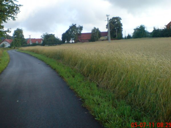 Wesołówka-(droga od strony boiska w kierunku Pisarzowic)