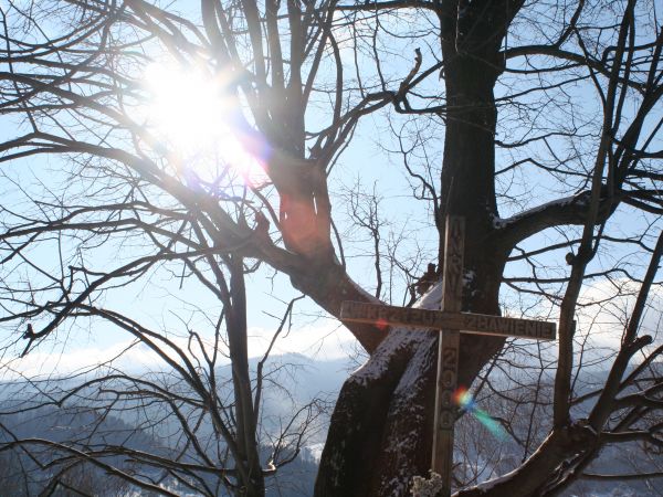 Fot. Ewa Kamila Jabłońska